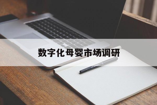 晋中市数字化母婴市场调研(数字化母婴市场调研报告)